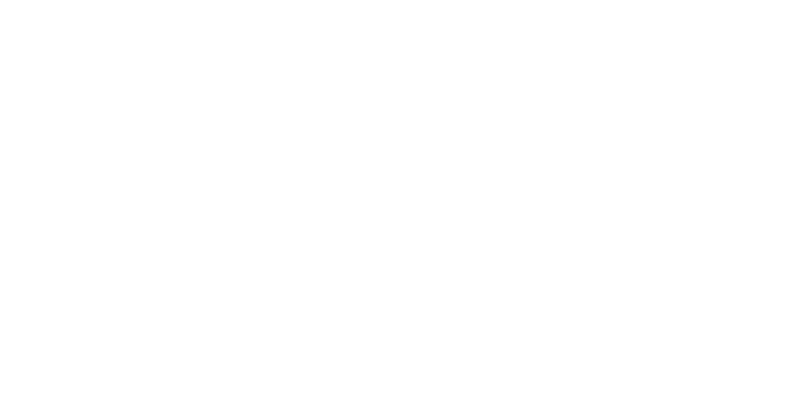 Sigla Alianței Naționale a Organizațiilor Studențești din România
